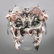 Crystal Lake/Weight Of Sound