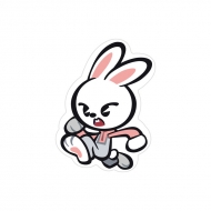 スマホグリップ【DWAEKKI】 : Stray Kids | HMV&BOOKS online - SKZ25015