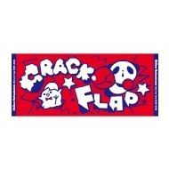 �t�F�C�X�^�I�� / CRACK and FLAP