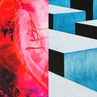 �������Ȃ͂�