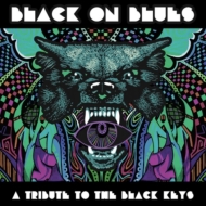 Black On Blues -A Tribute To The Black Keys