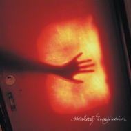 Absolutely Imagination (2nd press)