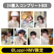 ���j�h���}�uDREAM STAGE�vNAZE�g���[�f�B���O�J�[�h�i24����R���v���[�gBOX�j