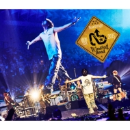 Novelbright Arena Tour 2025 〜winding Road〜At 神戸ワールド記念ホール