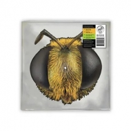 Big Fig Wasp (Bee / Bug Shap: �yrecord Store Day 2026.04.18�z