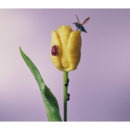 oishii pasta ga arutokiite