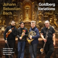 (Chamber)Goldberg Variations : Radek Baborak(Hr)Dalibor Karvay(Vn)Petr Valasek(B.Cl), Andrei Pushkarev(Marimba)