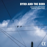 Byrd and the Bird : Giovanni Antonini, Sheng-Fang Chiu(Rec)