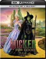 �E�B�L�b�h �i���̖� 4K UHD+�u���[���C �Z�b�g
