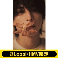 �ؑ��d�l�r�W���A���u�b�N�w�^�C�g������x�y@Loppi�EHMV����J�o�[�Łz