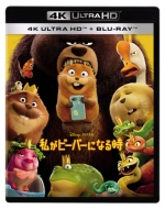 �����r�[�o�[�ɂȂ鎞 4K UHD+�u���[���C �Z�b�g