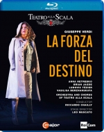 �w�^���̗́x�S�ȁ@���X�J�[�g���o�A���b�J���h�E�V���C�[���X�J�����A�A���i�E�l�g���v�R�A�u���C�A���E�W�F�C�h�A���i2024�@�X�e���I�j�i���{�ꎚ���t�j