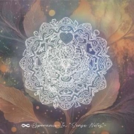 ∞esperance -In *sense Notes* -(アナログレコード)
