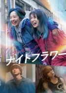 �w�i�C�g�t�����[�x DVD�ʏ��