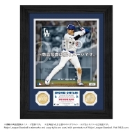 大谷翔平 (オオタニショウヘイ)｜商品一覧｜HMV&BOOKS online