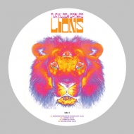 レコード｜THE BLACK CROWES (ブラック・クロウズ)｜商品一覧