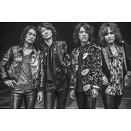 THE YELLOW MONKEY 再集結10周年記念写真集『THE YELLOW MONKEY 偉大