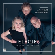 Elegie -Chausson, Babadjanian, Rachmaninov : Schwarzenberg Trio