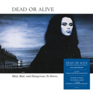 デッド・オア・アライヴ 名盤『Mad, Bad, and Dangerous To Know』40