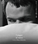 �|�P�b�g�̒��̈��茝 4K�C���� Blu-ray