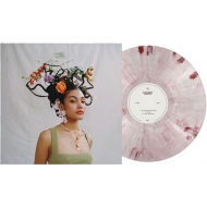 アナログレコード通販 HMV record shop ONLINE - Armin Van Buuren
