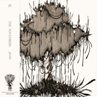 アナログレコード通販 HMV record shop ONLINE - moonchild