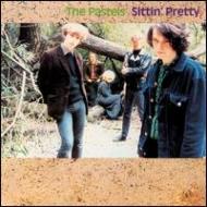 The Pastels Sittin' Pretty レコード LP The Pastels / Sittin' Pretty / UK Original - レコード
