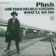 Plush/Greyhound Bus Station