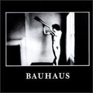 Bauhaus/In The Flat Field
