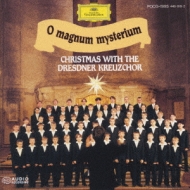 Stille Nacht, Heilige Nacht: Dresdner Kreutzchor