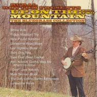 Various/Up On The Mountain Vol.2