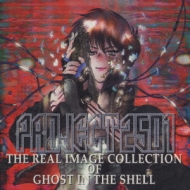 Project 2501 Real Image Collection Of Ghost In The Shell