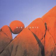 �}�C���h �g�����L���e�B �V���[�Y�L���͂̊J��