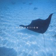 �}�C���h �g�����L���e�B �V���[�Y�w�̓A�b�v