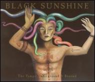 Black Sunshine -Tampa Underground & Beyond