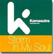 Storm In My Soul