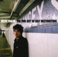 Jesse Malin/Fine Art Of Self Destruction