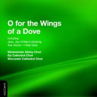 O For The Wings Of A Dove: Westminster Abbey.cho