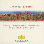Panorama -Brahms Ii