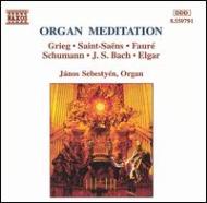 Omnibus Classical/Organ Meditation