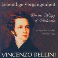 Bellini On The Wings Of Belcanto: V / A