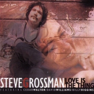 Steve Grossman/Love Is The Thing