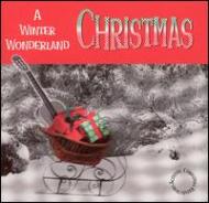 Acoustic Xmas Reflections