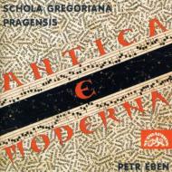 ٥󡢥ڥȥ1929-2007/ŵȸ塧 P. eben(Org)d. eben / Schola Gregoriana Pragensis