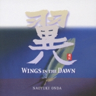 wings In The Dawn
