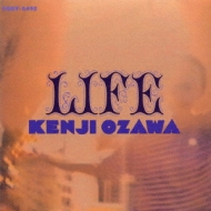 小沢健二 LIFE LPレコード