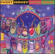 Sweet Honey In The Rock/I Got Shoes