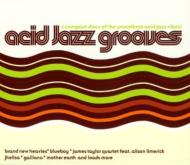 Acid Jazz Grooves | HMV&BOOKS online - IBITCD09
