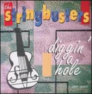 Stringbusters/Diggin'A Hole