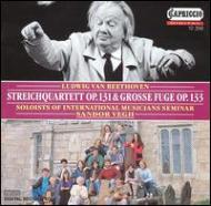 ���y�l�d�t�ȑ�14�ԁi���y���t�Łj�A��t�[�K�@���F�[�O�i�w���j�A�\���C�X�c�E�I�u�E�C���^�[�i�V���i���E�~���[�W�V�����Y�E�Z�~�i�[���y���t�c